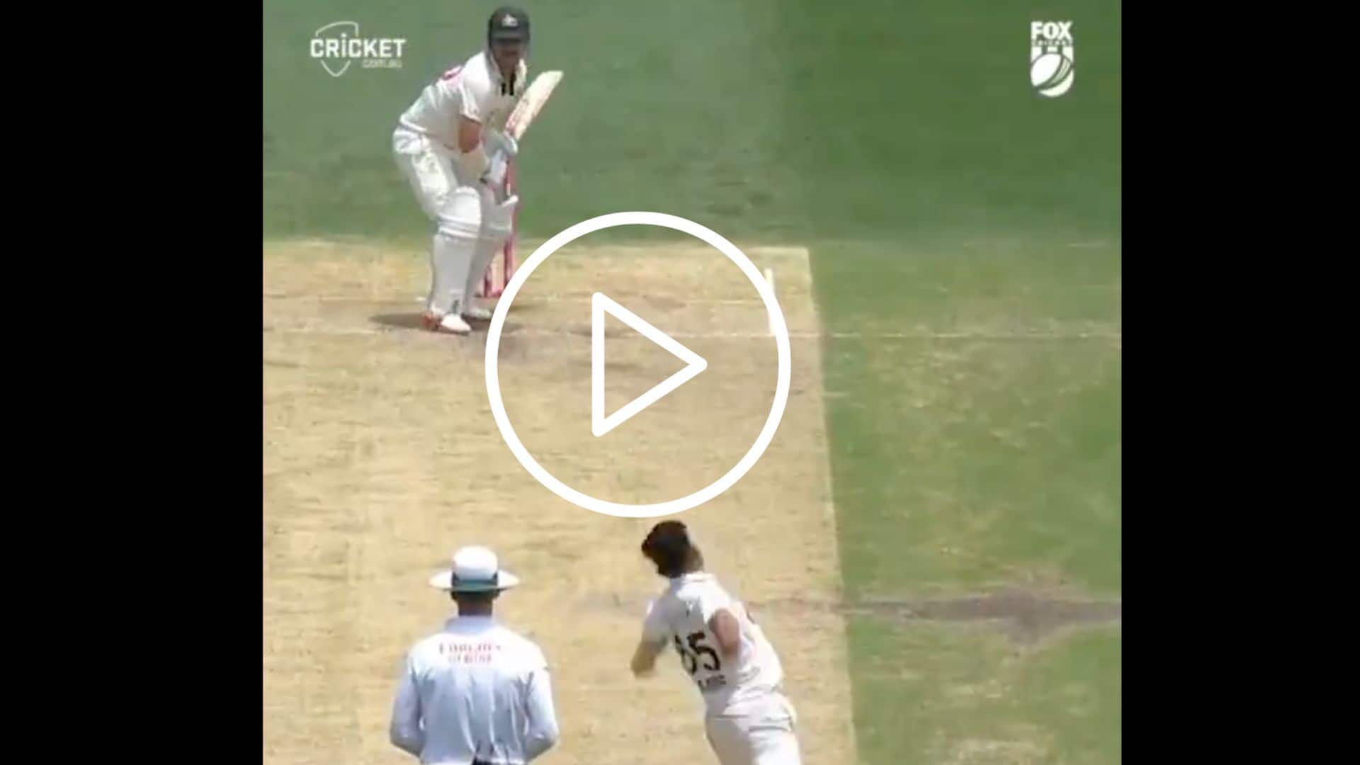 [Watch] Aamer Jamal's Fiery 6-Wicket Haul Dismantles Australia In SCG Test